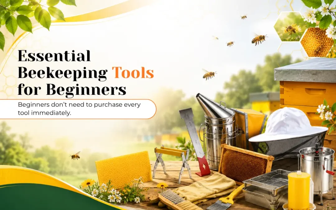 Essential Beekeeping Tools for Beginners